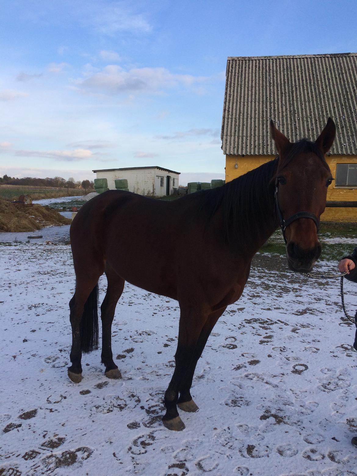 Traver Treasure Me K G - Lige ankommet 1. Feb 18 billede 3