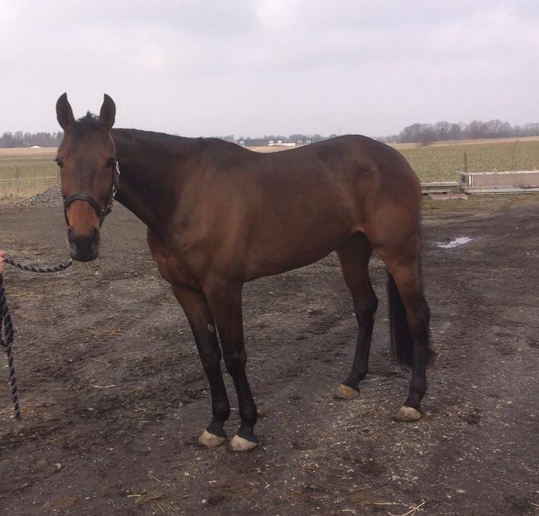 Traver Treasure Me K G - 25. Marts 18 billede 5