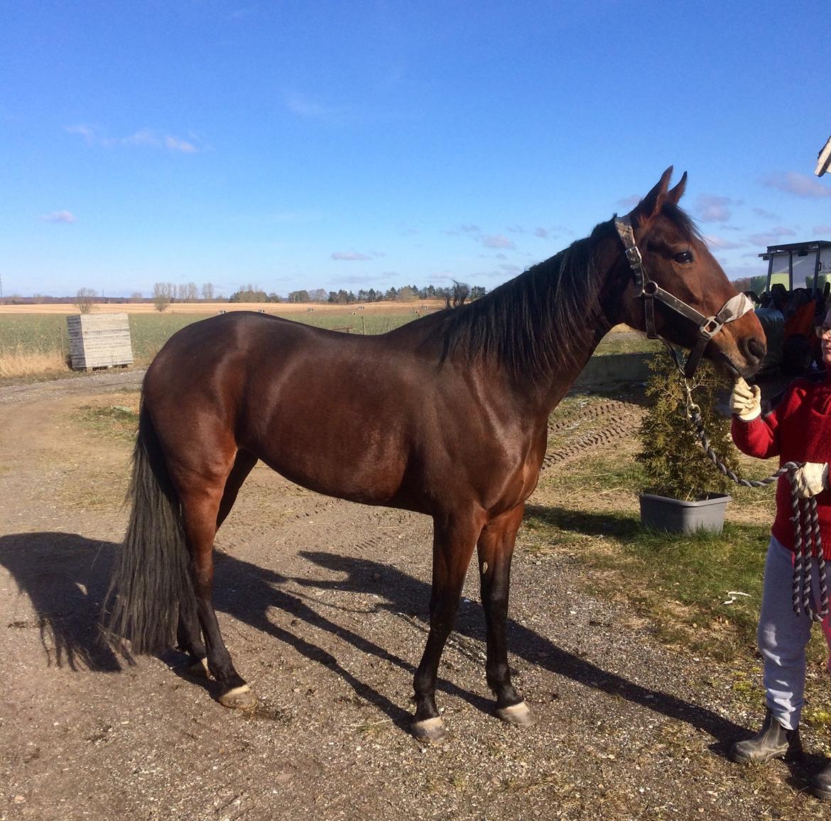 Traver Treasure Me K G - 26. Feb 18 billede 4