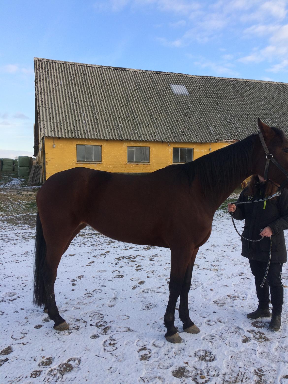 Traver Treasure Me K G - 1. Feb 18 billede 7