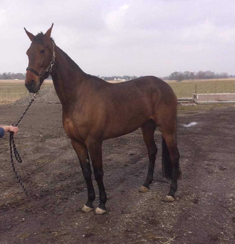 Traver Treasure Me K G - 25. Marts 18 billede 8