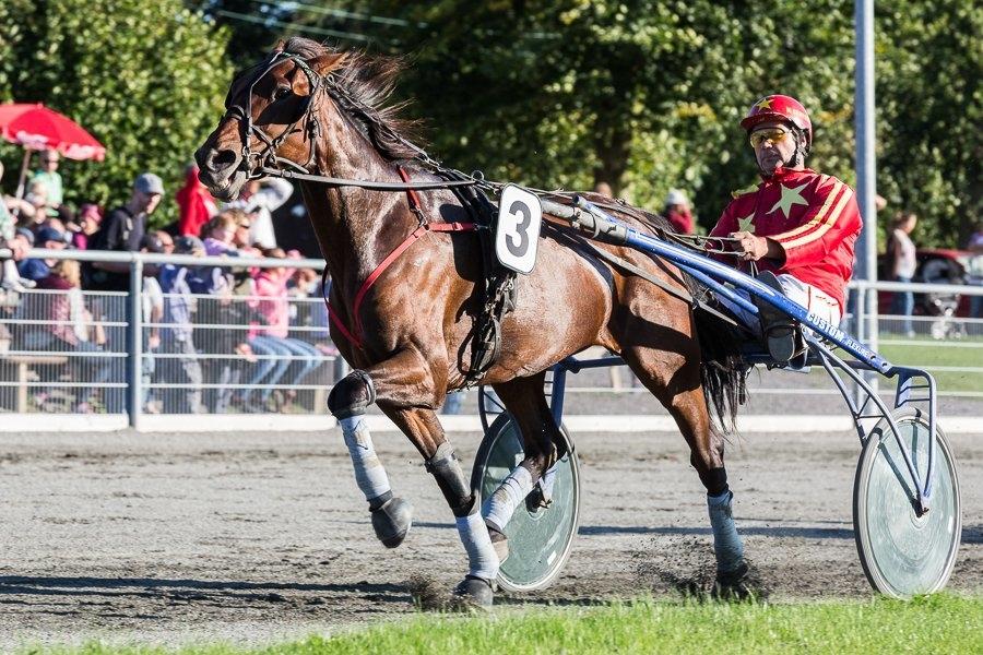 Traver Treasure Me K G billede 9