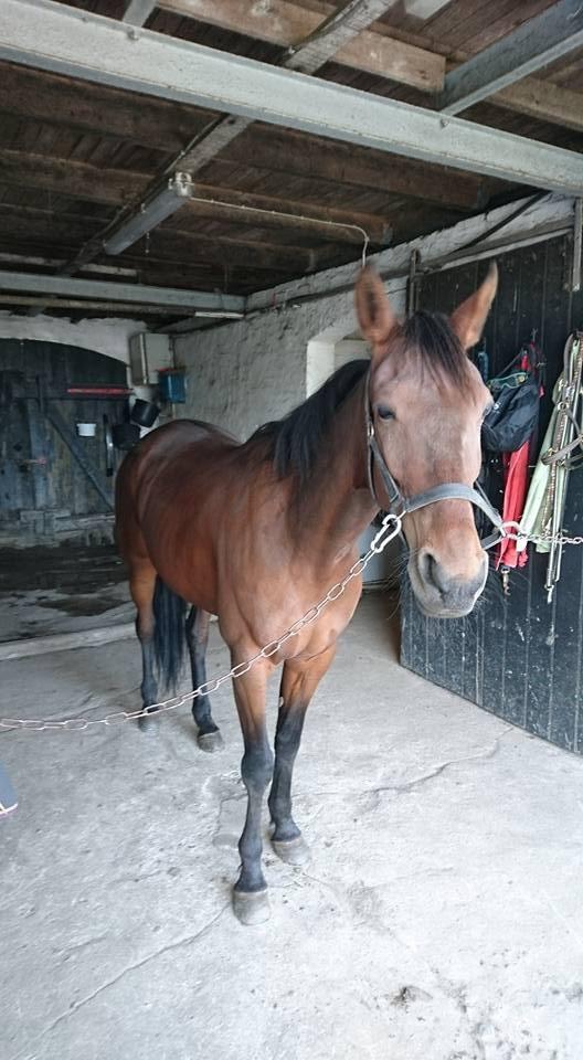 Traver Treasure Me K G - Maj 17 billede 11