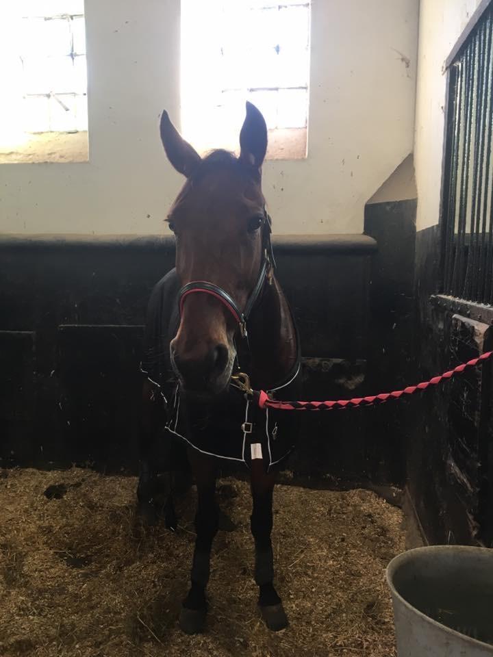 Traver Treasure Me K G billede 12