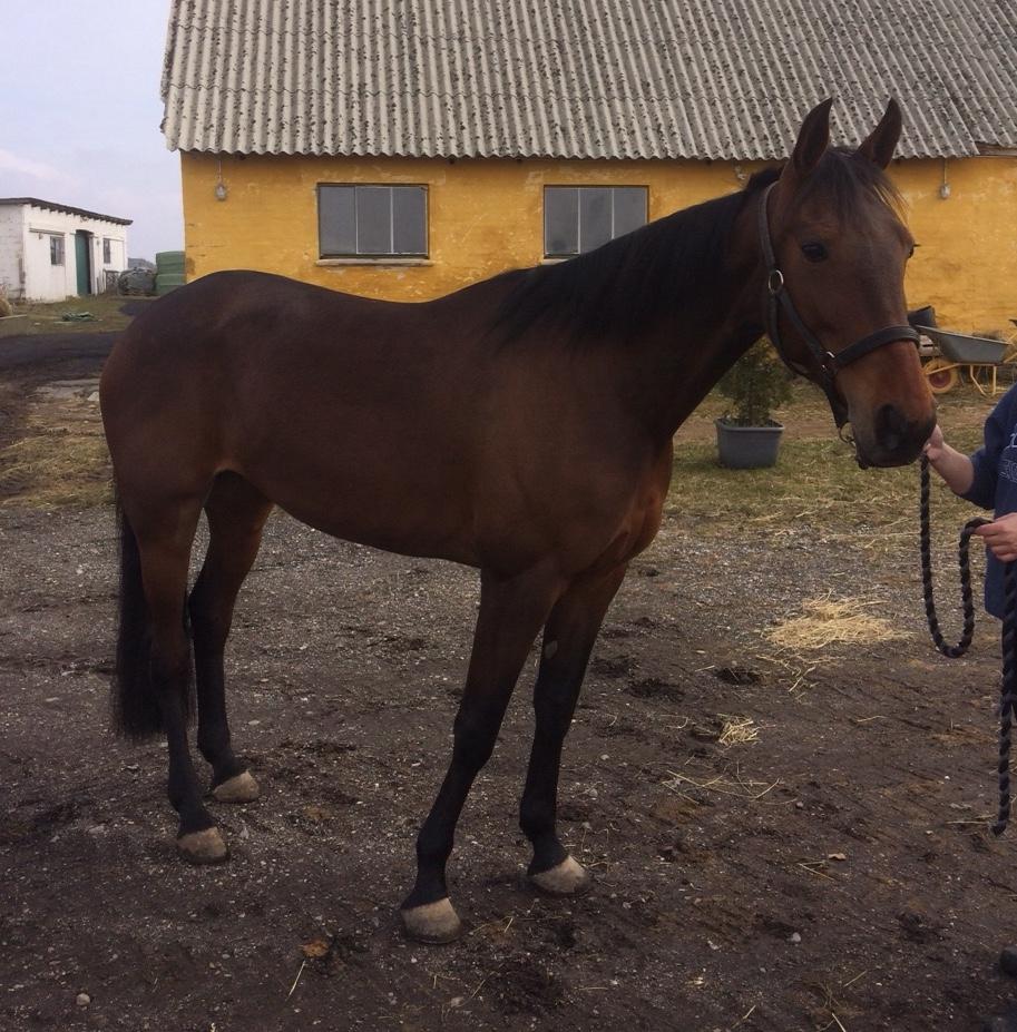 Traver Treasure Me K G billede 6