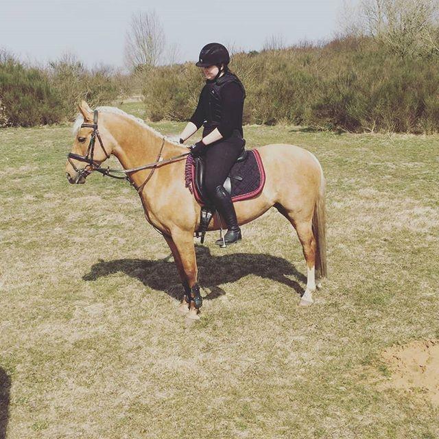Palomino Sunshine - 09.04.18 Gules ALLERFØRSTE tur ude! Både i skov, villaområde og ved "stor" vej! Het hele i stiv arm! Hun er så sej😎 billede 15