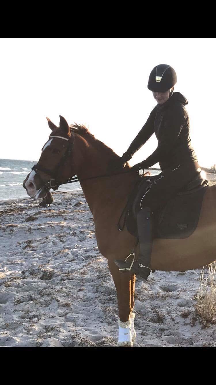 Anden særlig race Magnolias Jessica billede 5