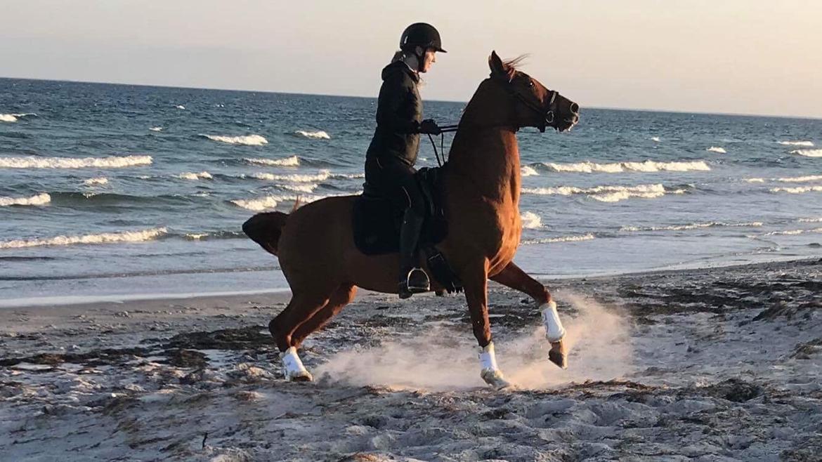 Anden særlig race Magnolias Jessica billede 6