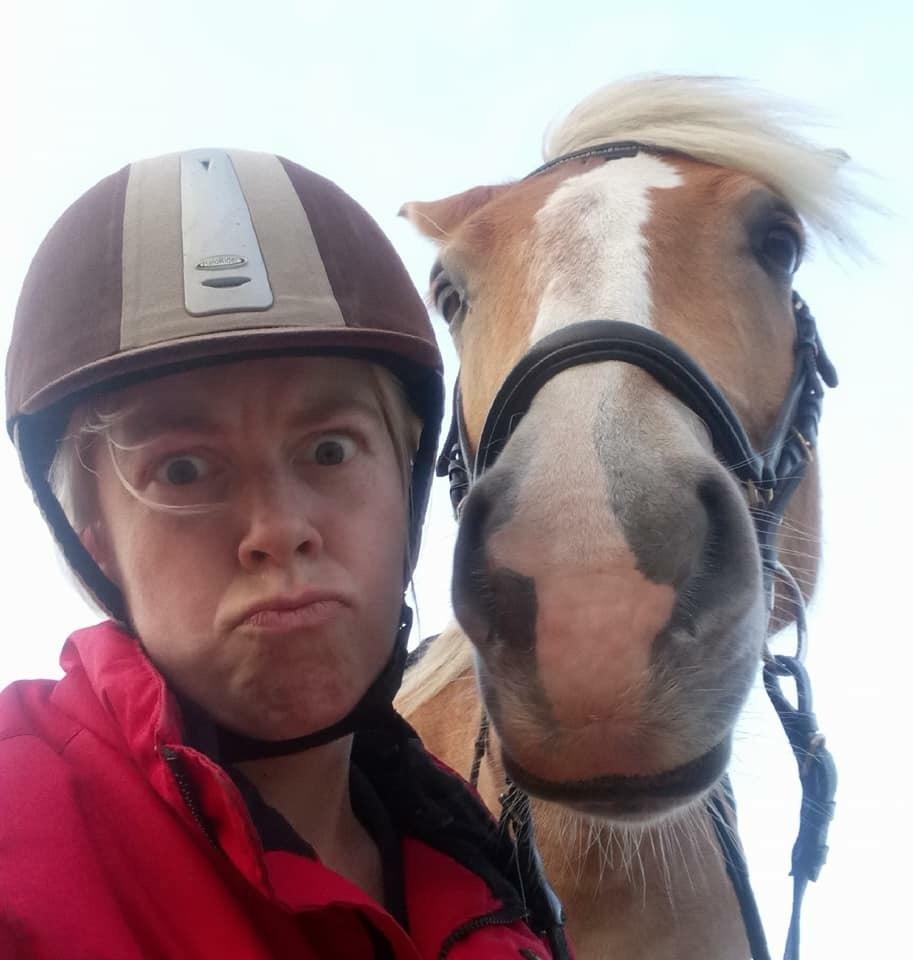 Haflinger Mille *PART* billede 4