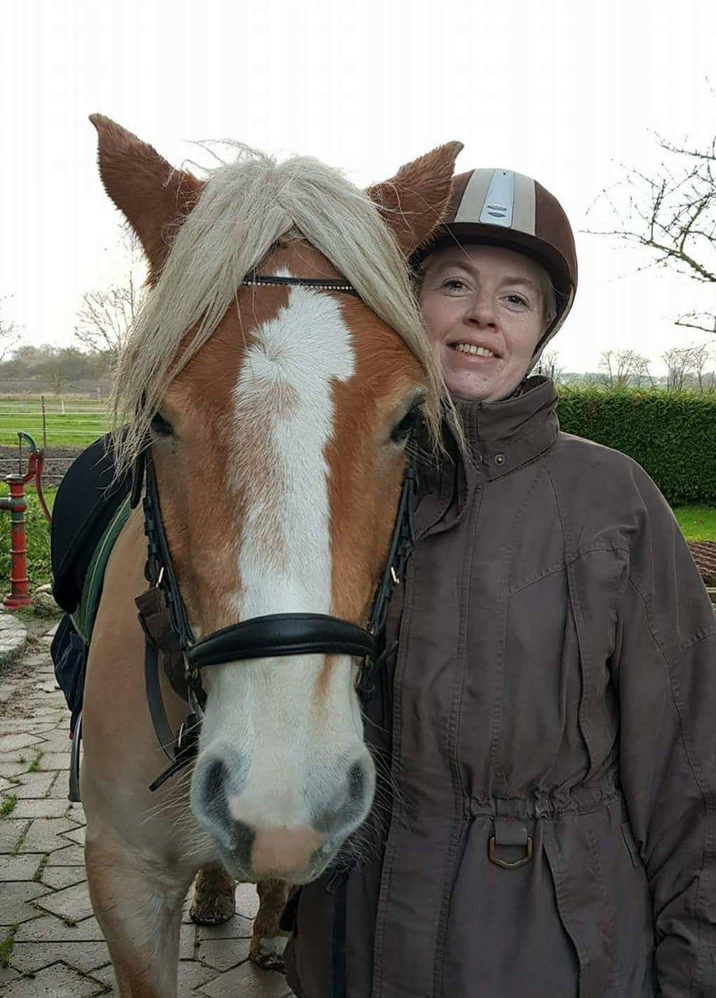 Haflinger Mille *PART* billede 5