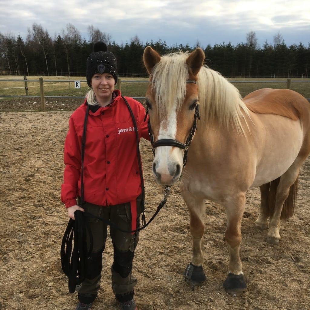 Haflinger Mille *PART* billede 10