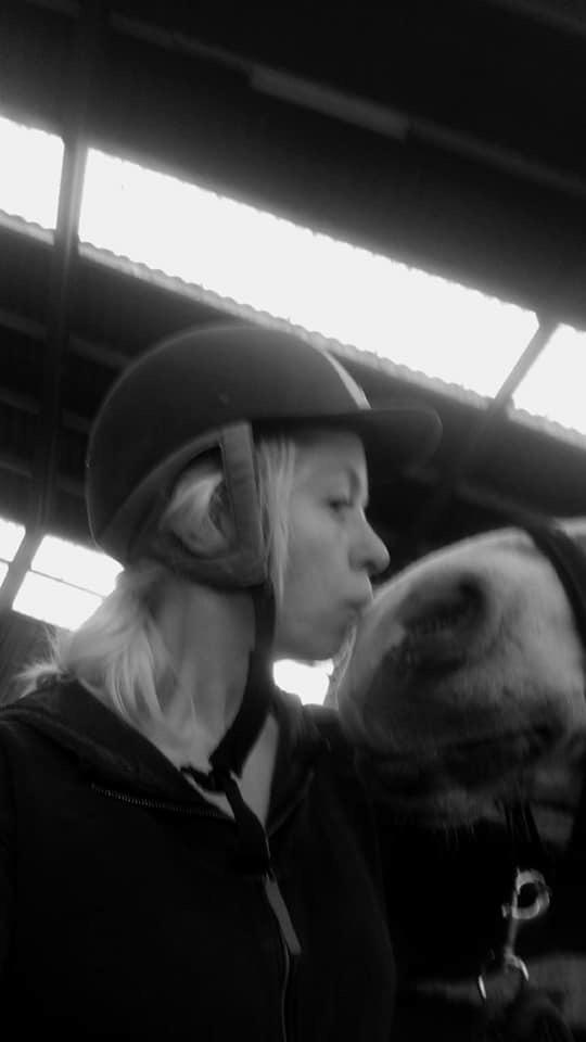 Haflinger Mille *PART* billede 9