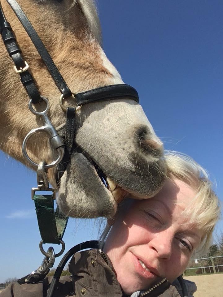 Haflinger Mille *PART* billede 13