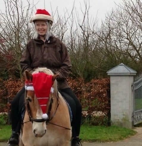 Haflinger Mille *PART* billede 15