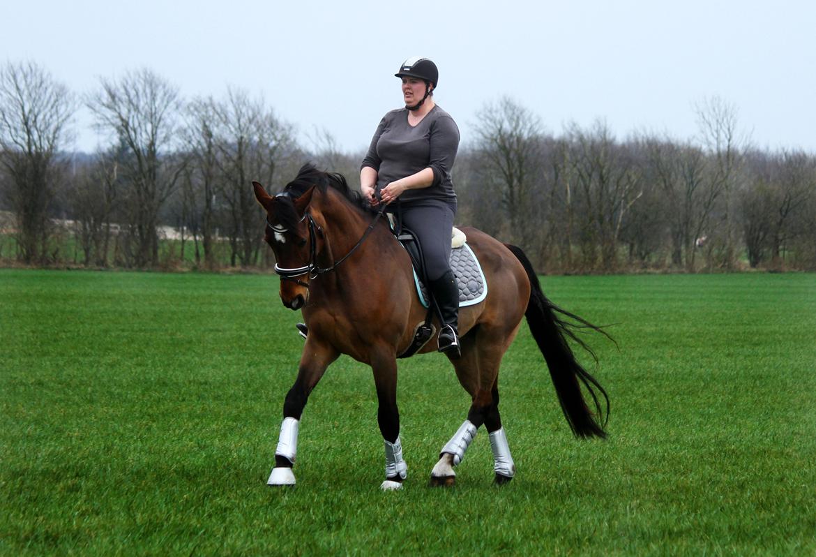 Anden særlig race Dalvangs Casper - NYT: Så flyvende <3 billede 6