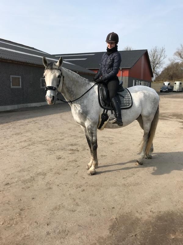 Anglo Araber (AA) Kessler - Første tur i hackamoren :-) 13-04-2018 billede 7