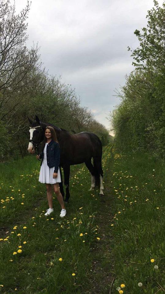 Dansk Varmblod Norupgårds trendygirl - Fotoshoot ved min lillesøsters konfimartion. billede 18