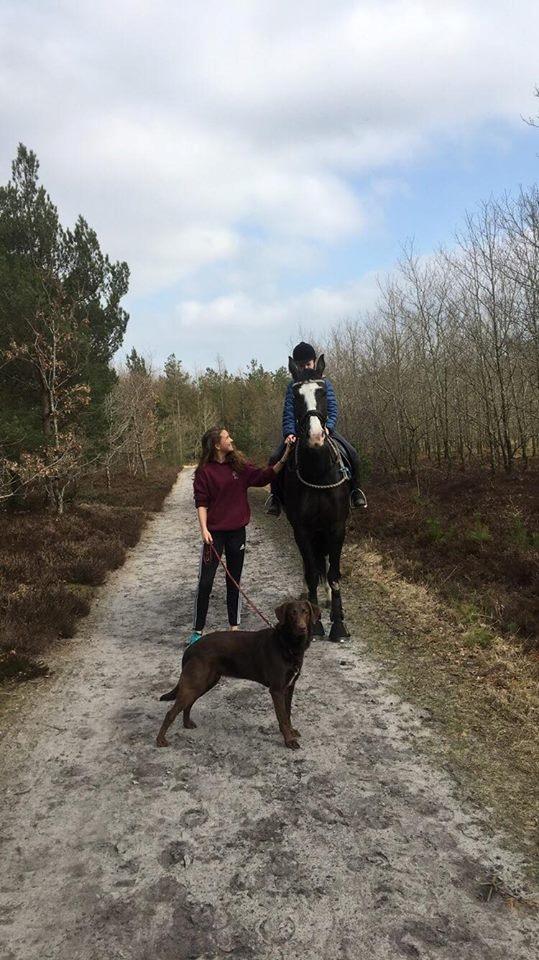 Dansk Varmblod Norupgårds trendygirl - på tur igen;) billede 19