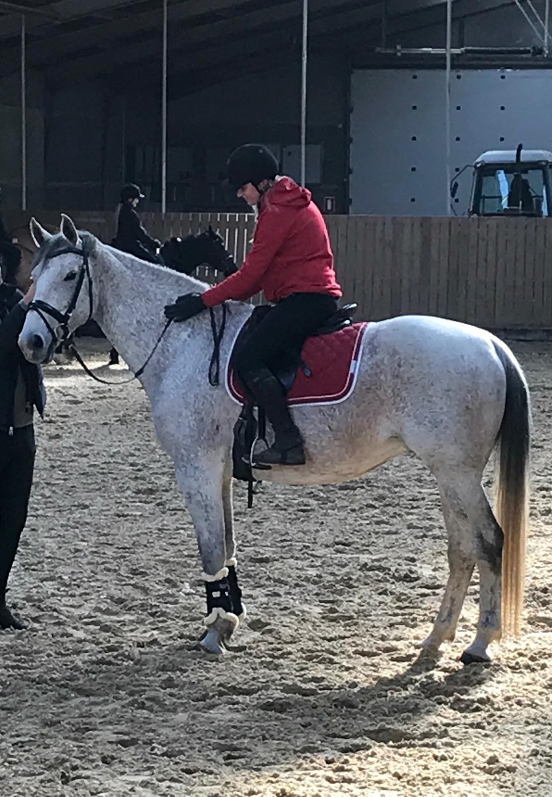 Holstener Tivalis billede 15