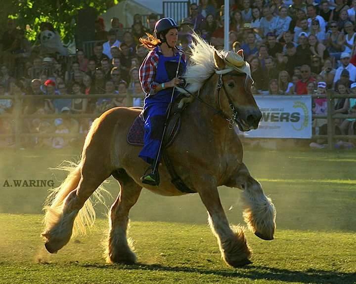 Jyde Sabrina tindbæklund billede 1