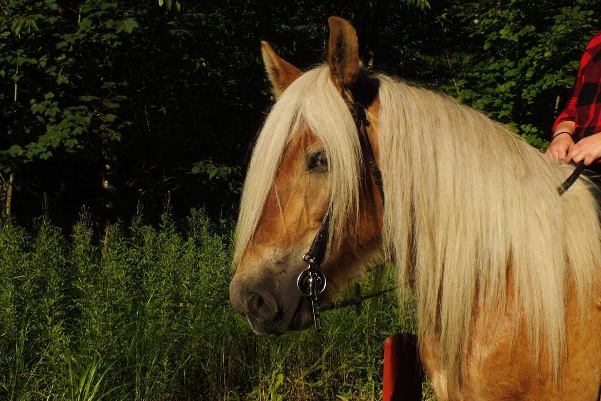 Jyde Sabrina tindbæklund billede 14