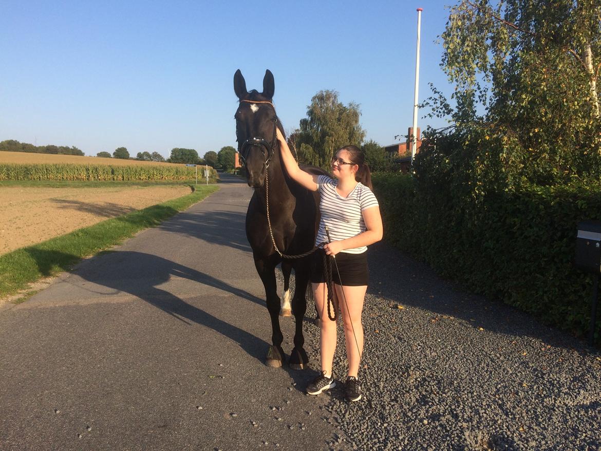 Oldenborg Maggie Tisted - August 2017 billede 15