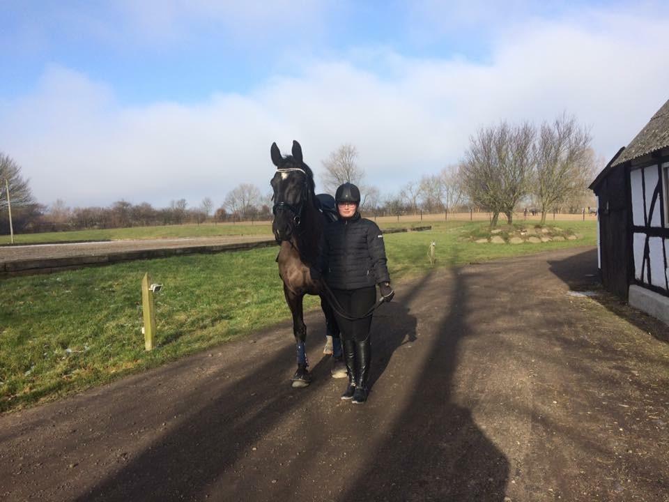 Oldenborg Maggie Tisted - Februar 2017 billede 31