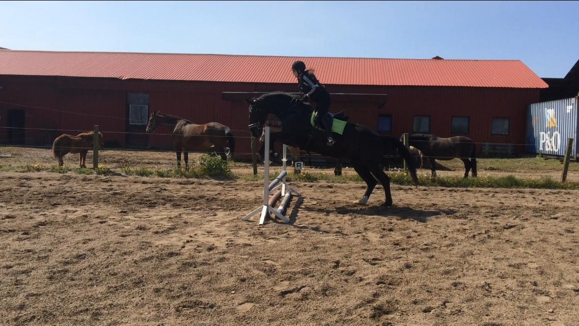 Oldenborg Maggie Tisted billede 6