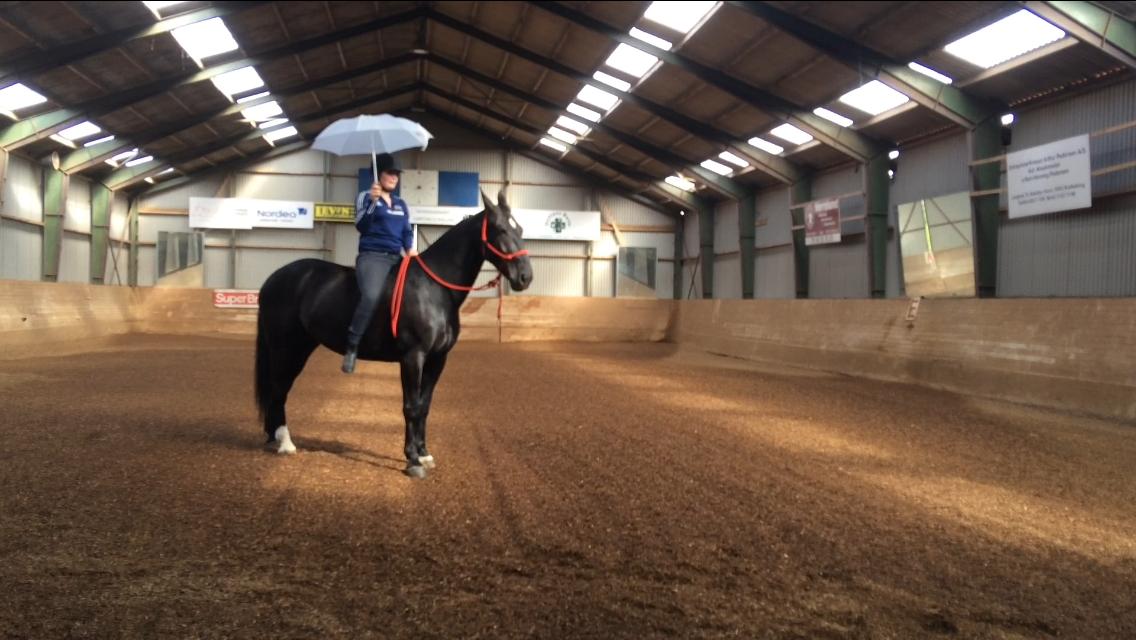 Oldenborg Maggie Tisted - September 2017 billede 13