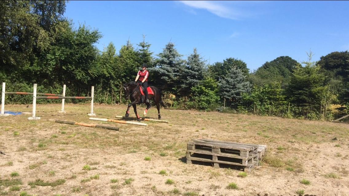 Oldenborg Maggie Tisted - Juli 2018 billede 8