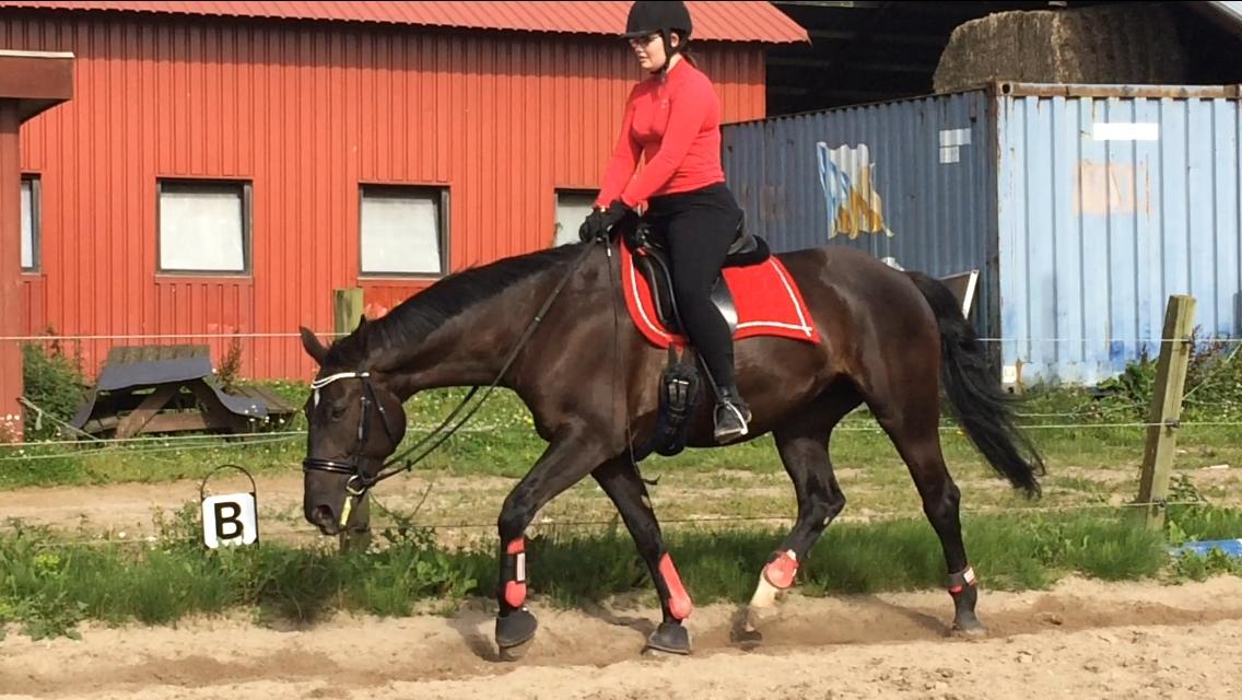 Oldenborg Maggie Tisted - Juni 2017 billede 20