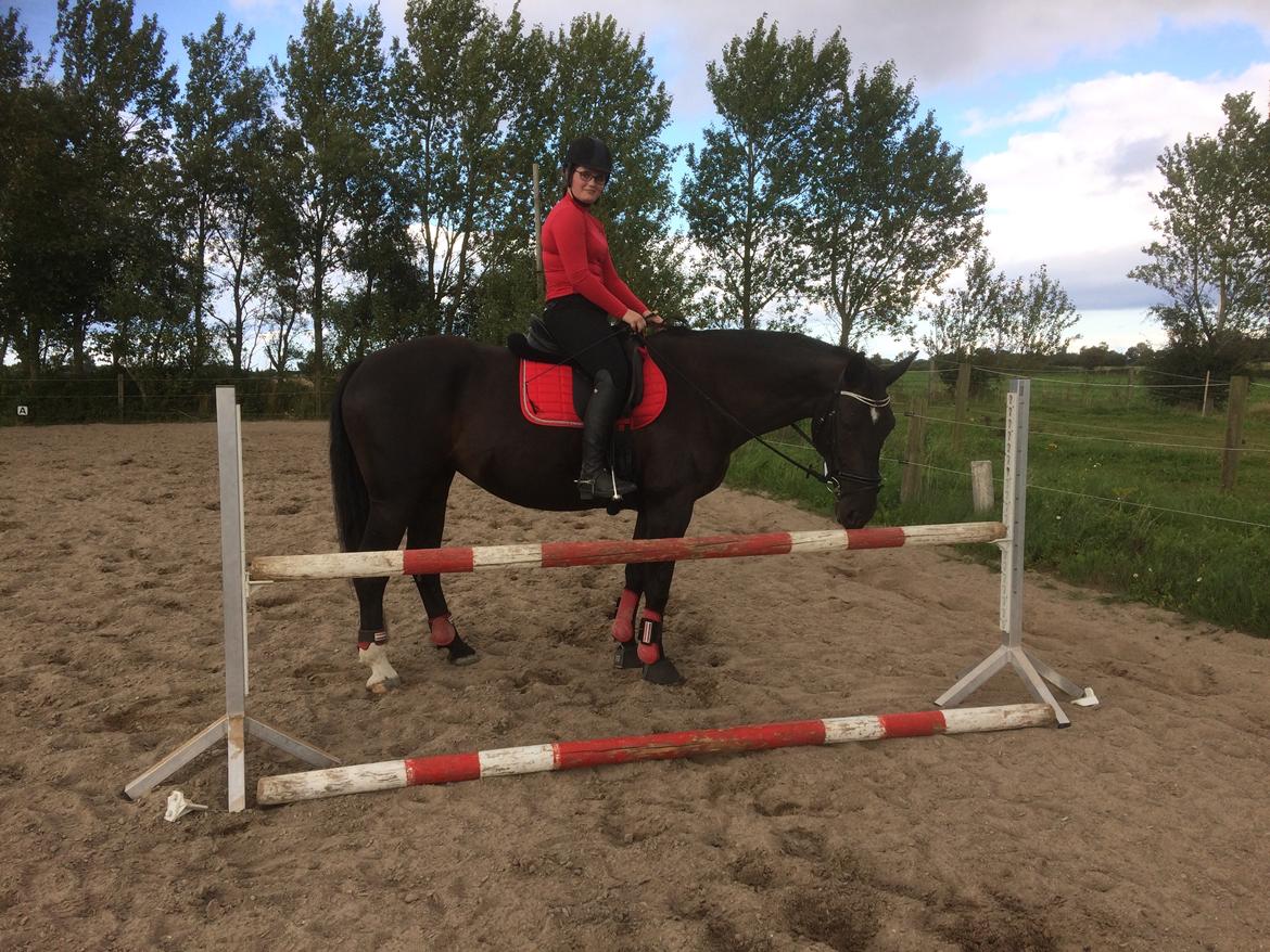 Oldenborg Maggie Tisted - September 2018 billede 7