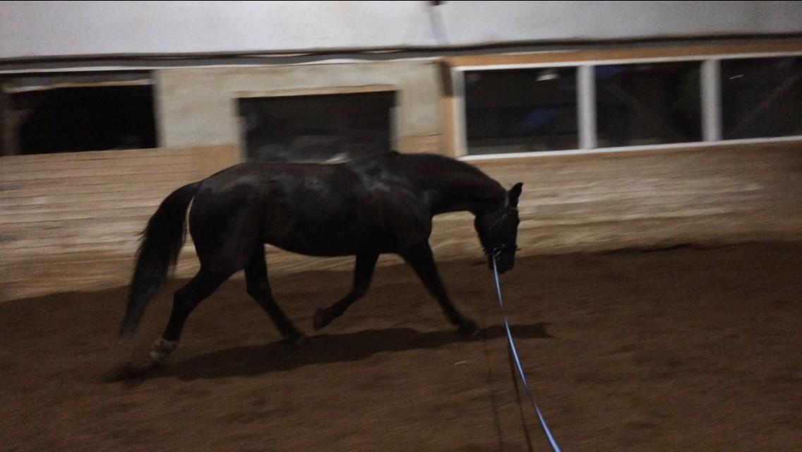 Oldenborg Maggie Tisted - December 2017 billede 12