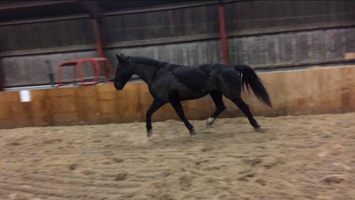 Oldenborg Maggie Tisted - Januar 2018 billede 11