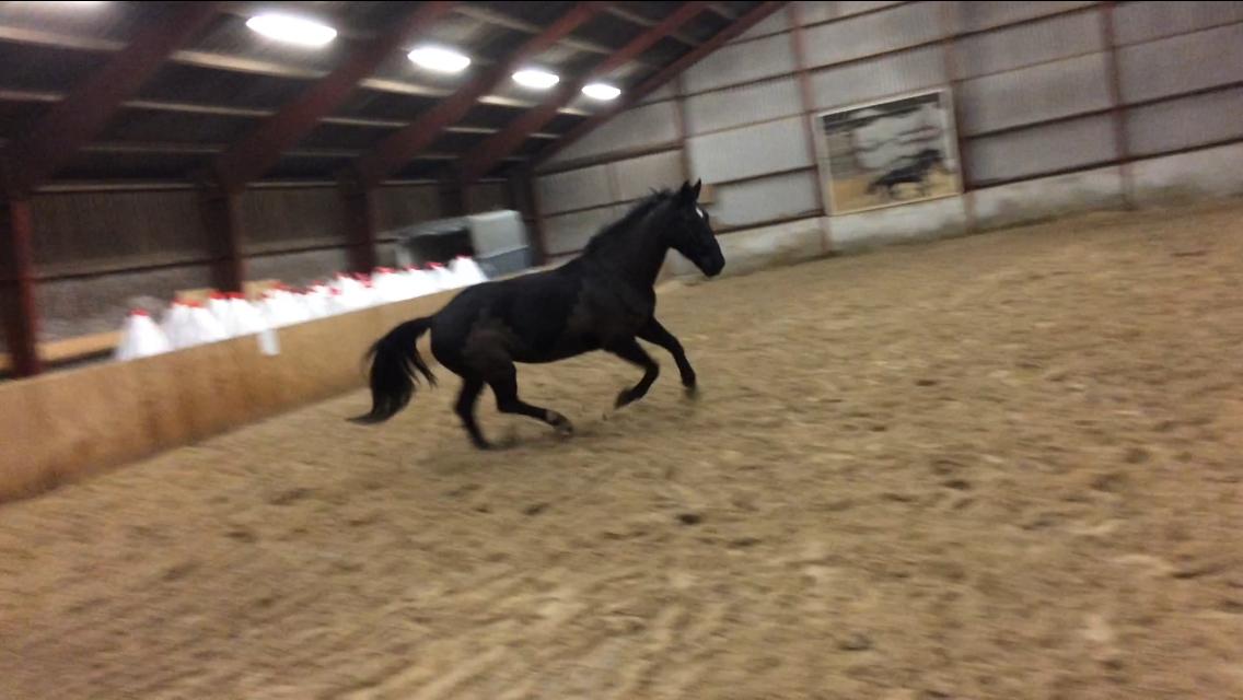 Oldenborg Maggie Tisted - Januar 2018 billede 10