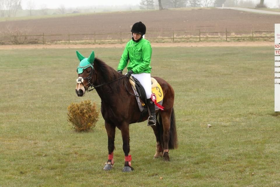 Welsh Cob (sec D) Menai Merci - vores første sejr sammen i hans første Ponytravløb <3 billede 9