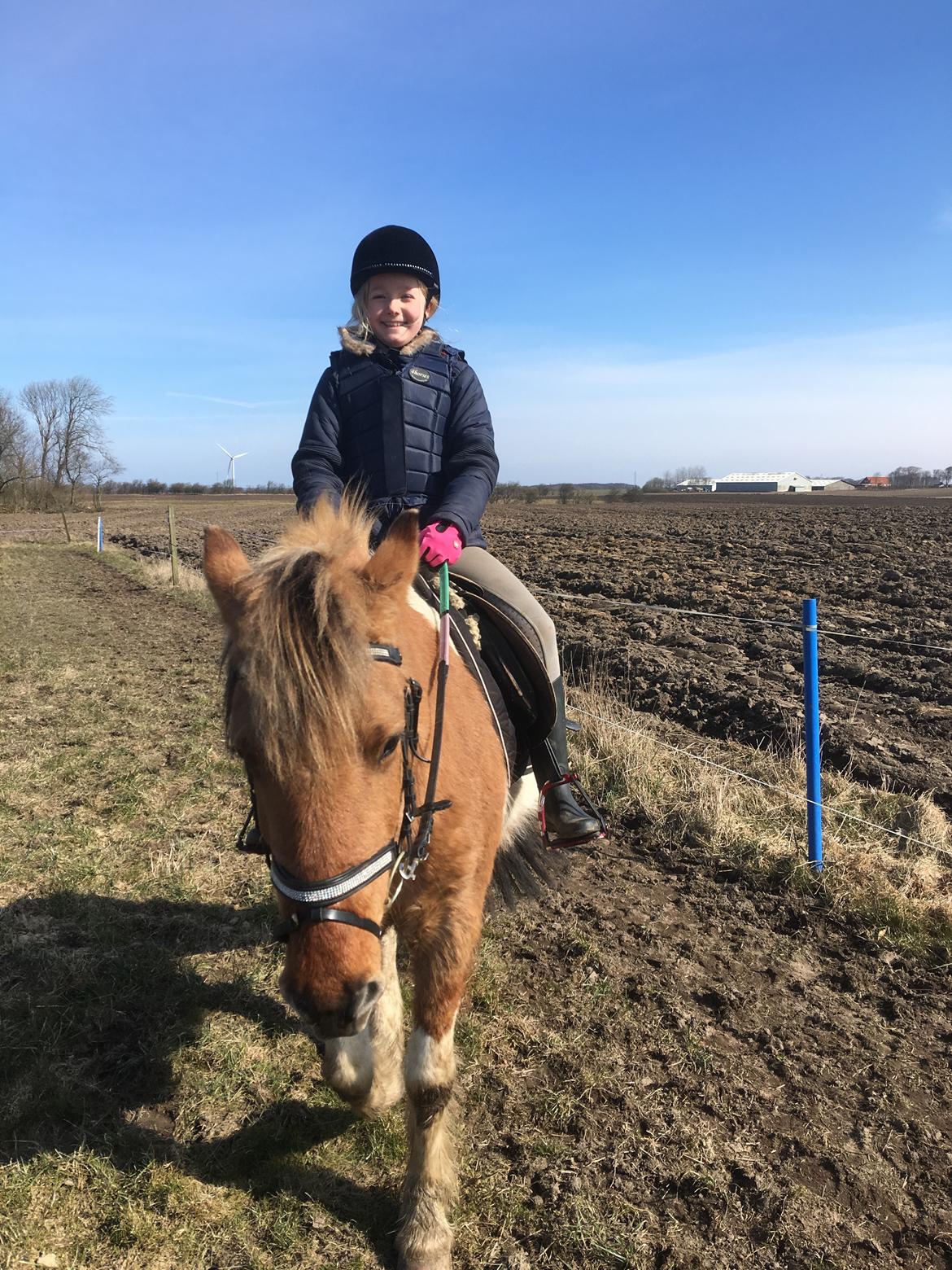 Anden særlig race Cody billede 8