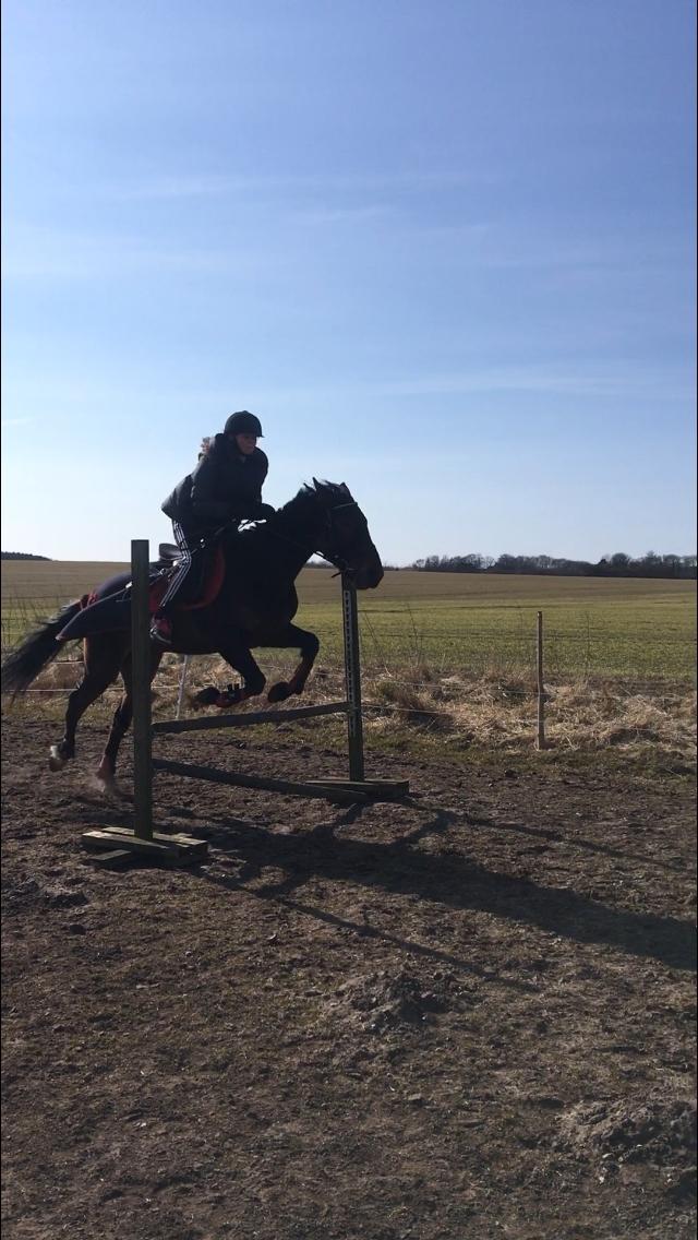 Traver Bette Nøk S billede 13