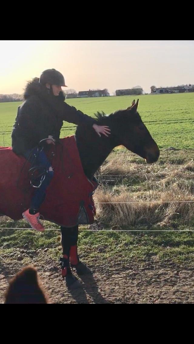 Traver Bette Nøk S - Første gang vi skridter uden udstyr billede 17