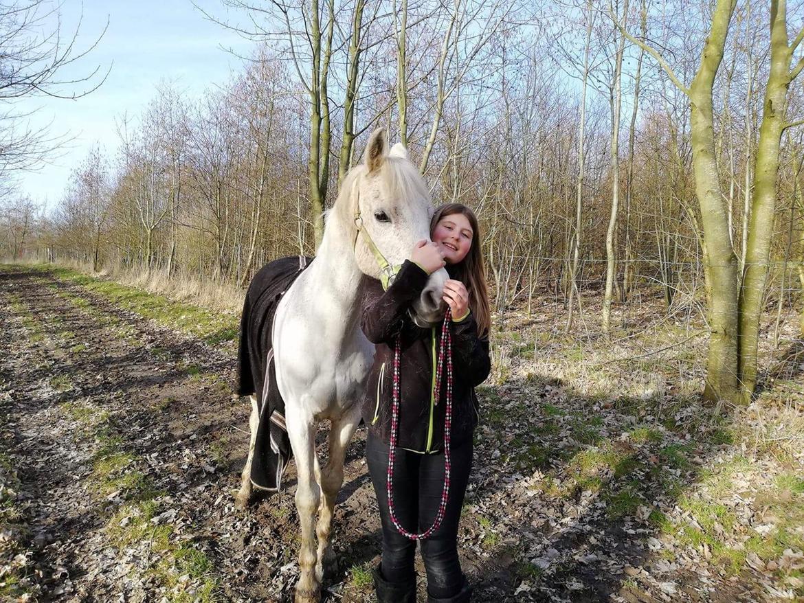 Anden særlig race Amadeus (aka Deuer) billede 15
