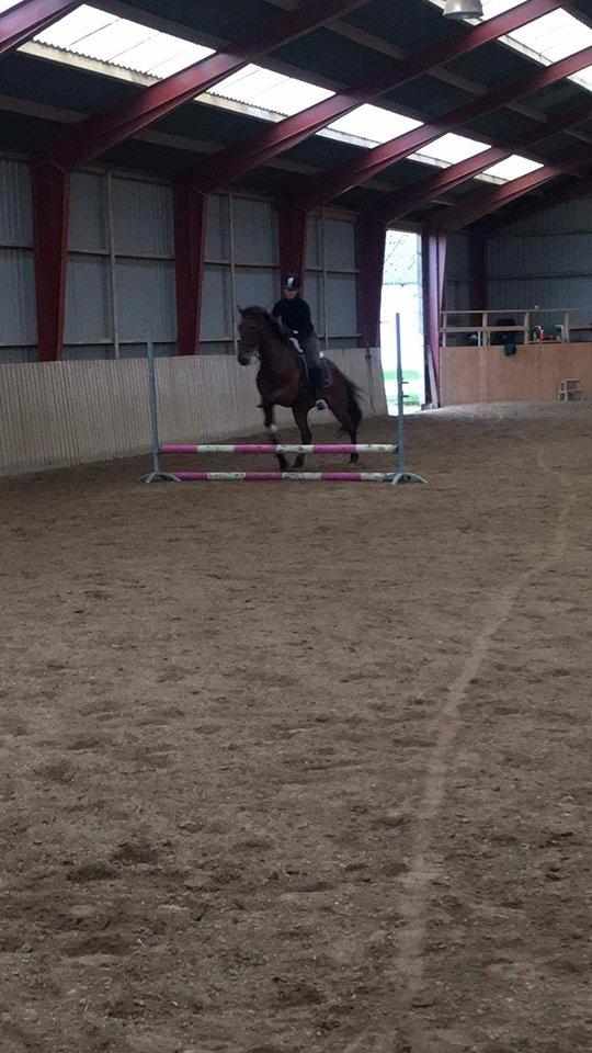 Traver Chinook Silver billede 9