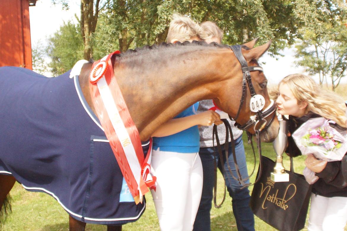 DSP Nagengaards lady madonna billede 17