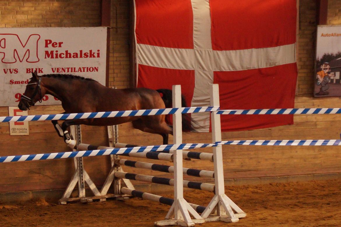 DSP Nagengaards lady madonna billede 14