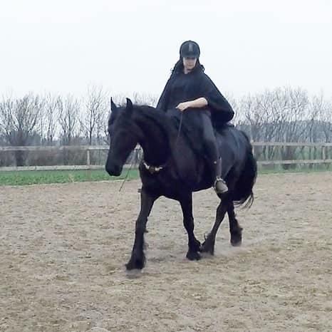 Frieser Migu van Årupgård - 16. april 2018 ... 2. gang uden hovedtøj ... Fotograf:  GoPro video billede 23