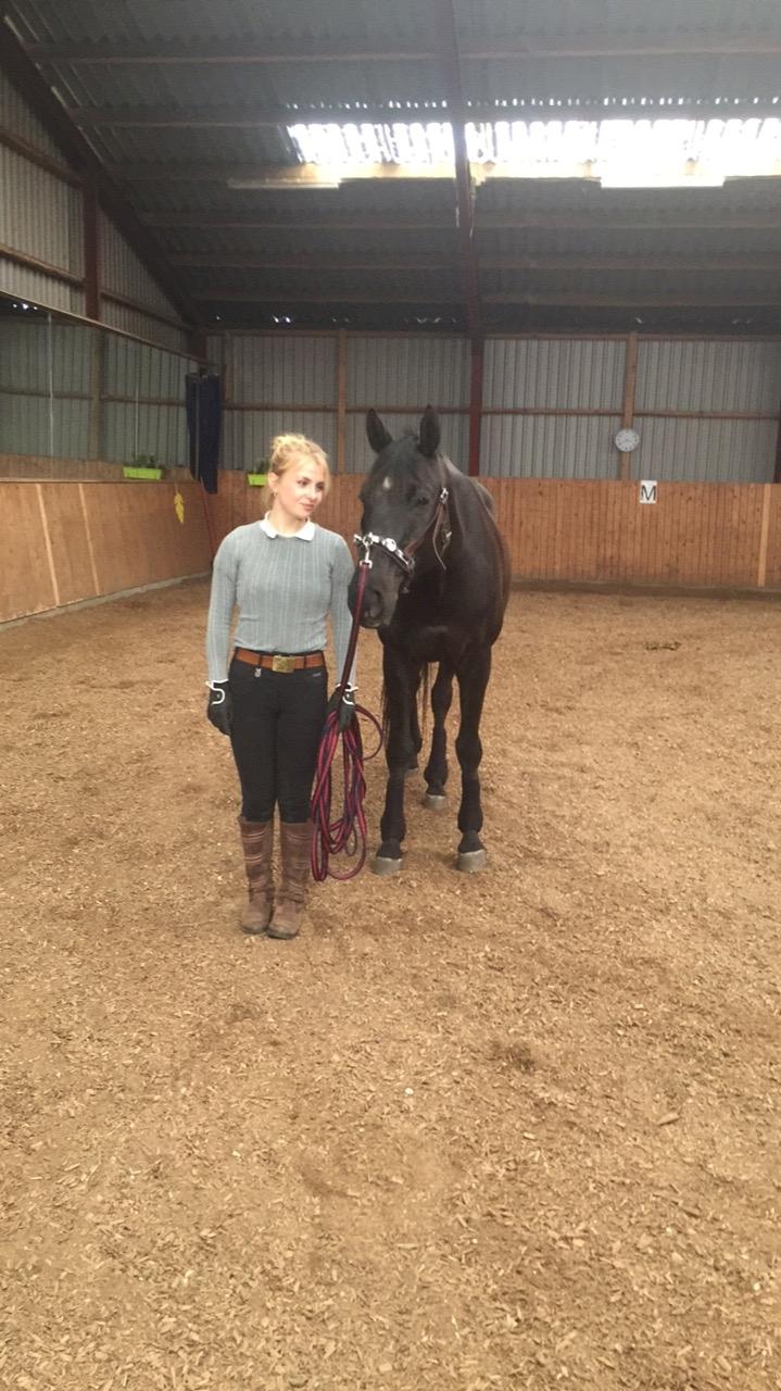 Trakehner Satori Birkedommergård - Kapsun træning april 2018 billede 18