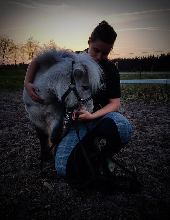 Miniature Máni billede 3