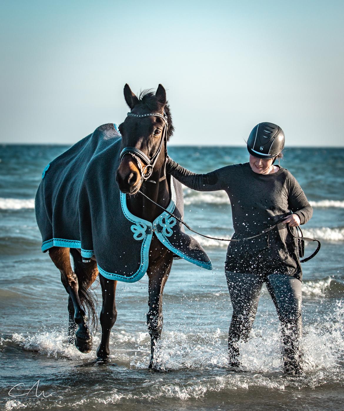 Connemara Egevangens Bailey billede 33