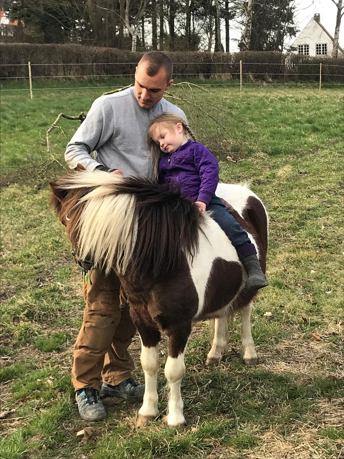Anden særlig race Whisky billede 1