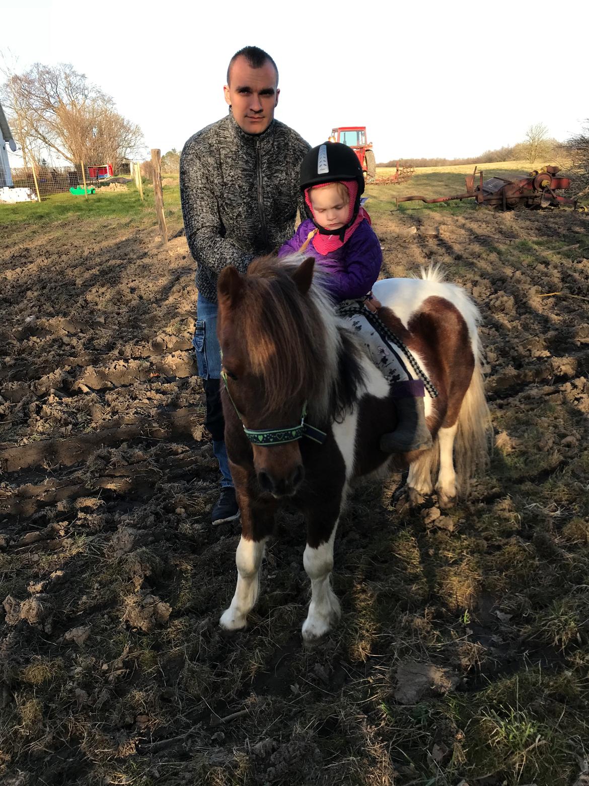 Anden særlig race Whisky billede 2