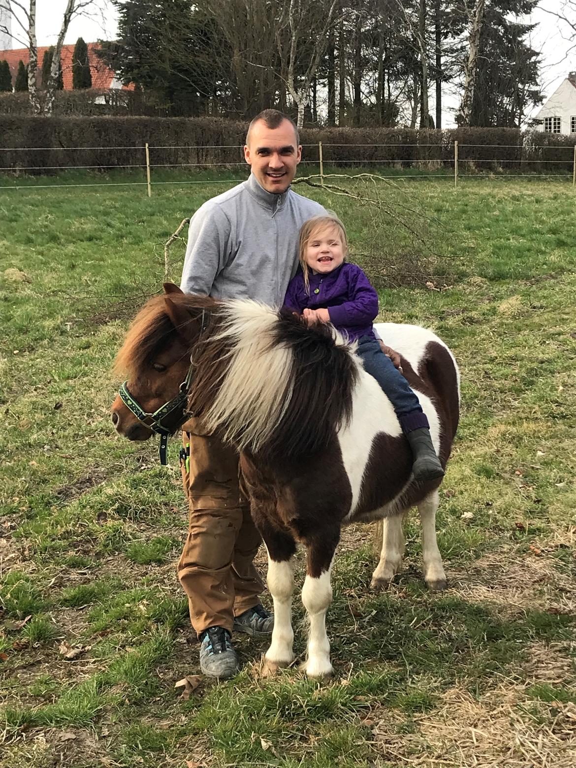 Anden særlig race Whisky billede 4